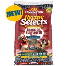 Pennington Recipe Selects Black Oil Sunflower Seed, Dry Wild Bird Feed,20 lb Bag