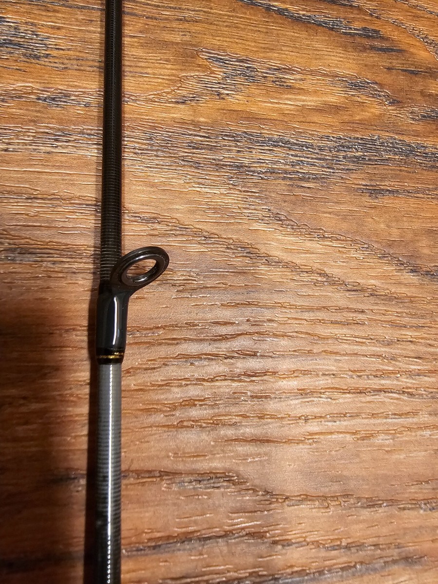 Daiwa Morethan Branzino AGS 96MH(MOB3122278) | eBay