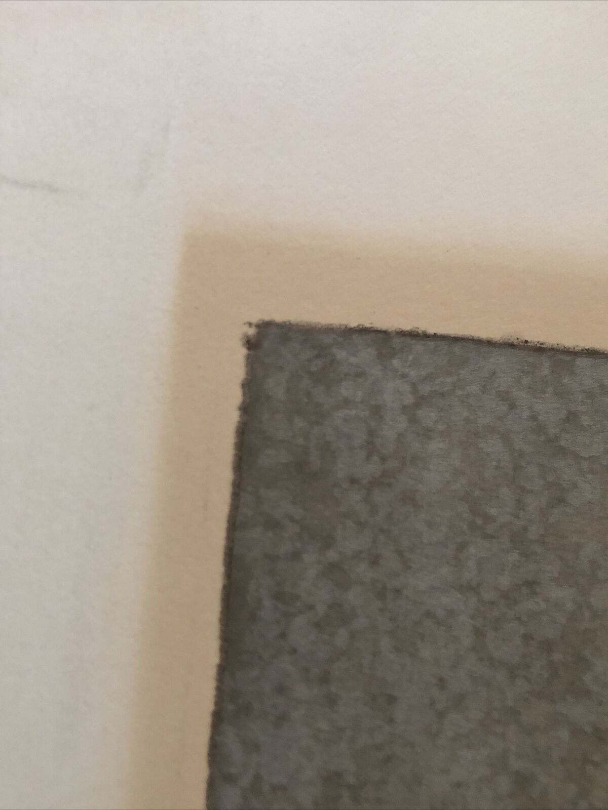 Foto 10 di 12