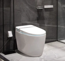 Automatic Smart Toilet Elongated Tankless Dual Flush Ceramic Bidet with Remote