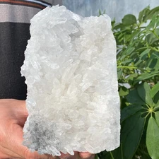 2.23LB Natural Clear White Chrysanthemum Crystal Himalayan Quartz Cluster Minera
