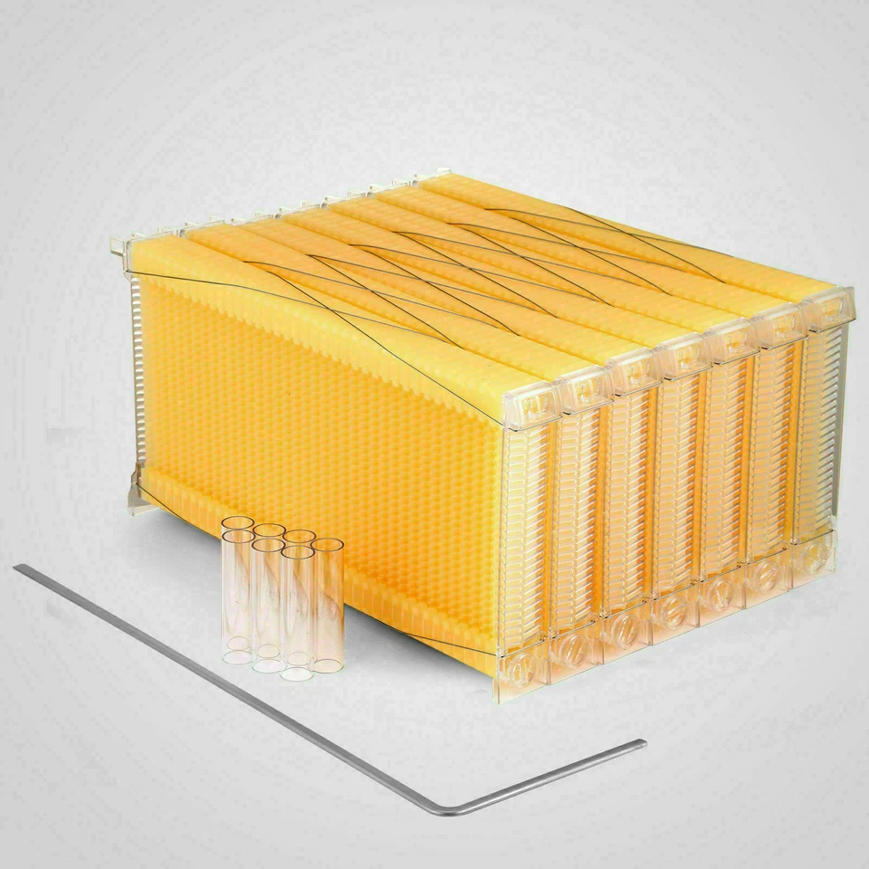 Upgraded 7pcs   Bee Comb Hive Frames For Wooden Beekeeping Beehive House - image 3 of 4