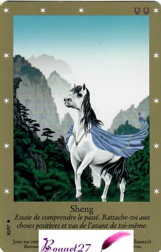 CARTE CARD Cheval Horse " BELLA SARA " EDITION DE BASE N° AUX CHOIX - Imagen 49 de 88