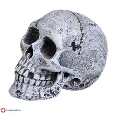 RA Mini Skull 1" x 2" x 1.5" 4 Pack 