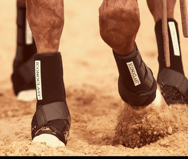 Iconoclast horse tack sport boots *black* small* FRONT eBay