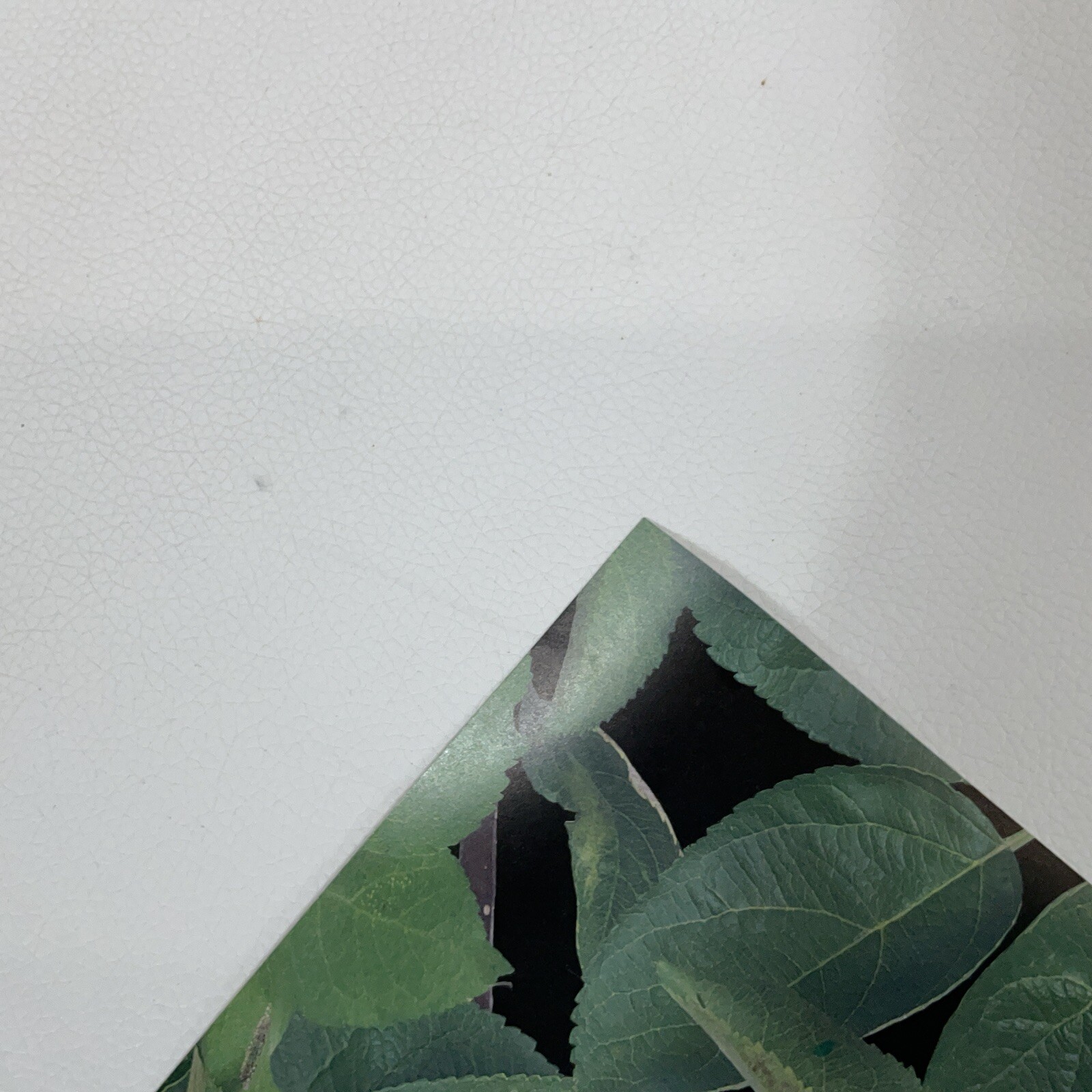 Picture 9 of 15