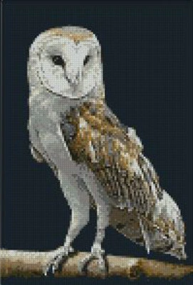 SUSANMOWER Barn Owl 3 Complete Counted Cross Stitch Kit 7" x 10.5" 14 Count