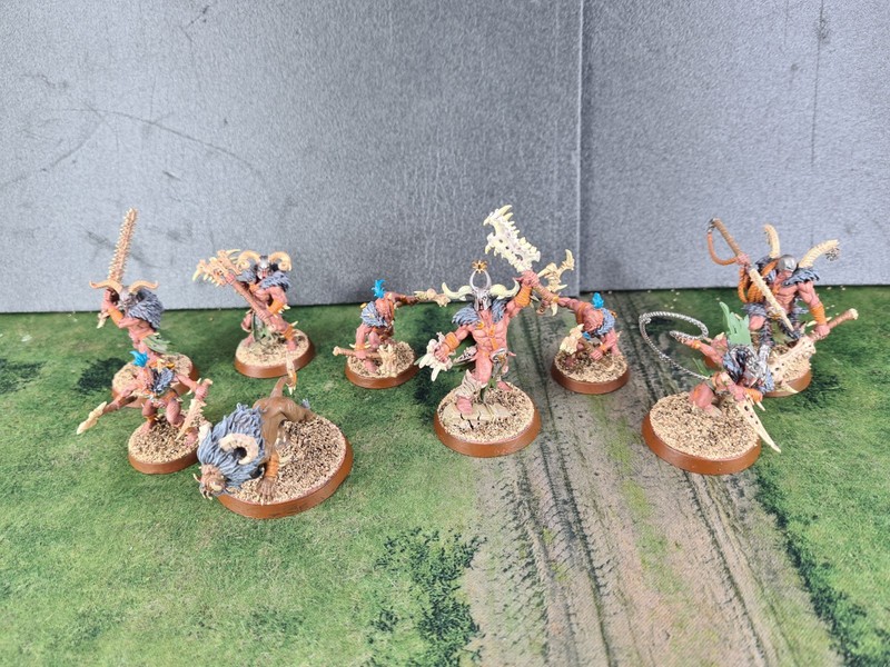 Warcry Untamed Beasts Warband (2019 Starter Set) – Painted – Age of Sigmar