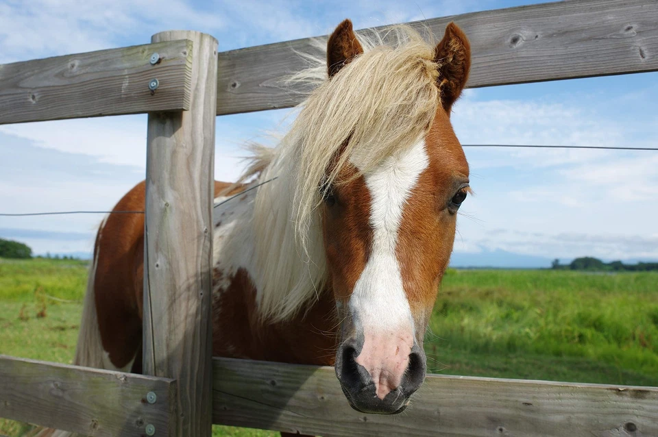 PENTAX HD D FA 24-70mm F2.8 ED SDM WR Lens Full Frame K-Mount Weather 21310 - Image 2 of 4