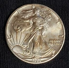 1989 American Silver Eagle 1 oz .999 Fine Silver Bullion Uncirculated