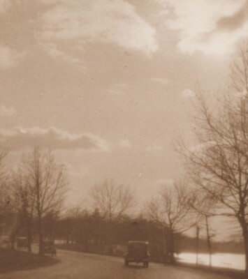 Serene Scenic Road Bare Trees Leading Water Cloudy Sky