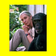 Jane Goodall - 8 x 10 Photo Printed at a Lab