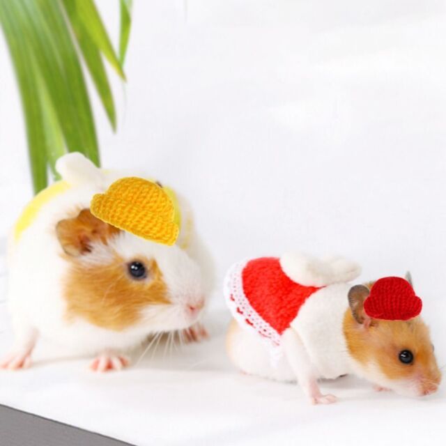 Party Elastic Adjustable Hamster Hat Pet Headdress Frog Cap Guinea Pig Hat
