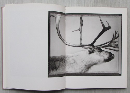 Animal - Bettina Rheims. Libro de fotografia de una excepcional fotógrafa. - Imagen 14 de 22