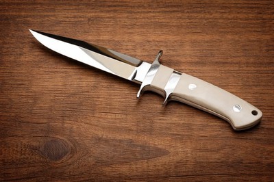 Custom Handmade Stainless Steel Hunting Camel Bone Handle Hunting Survival Bowie