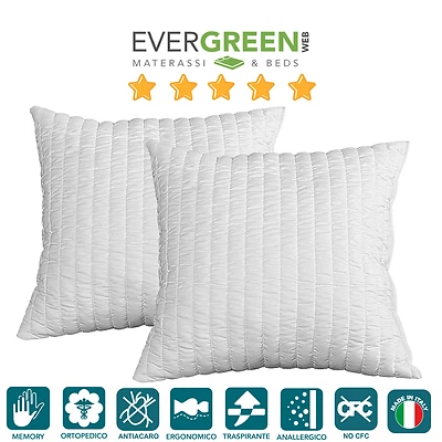 EVERGREENWEB Anime x cuscini 40x40 imbottitura x cuscino d'arredo divano letto Memory Foam