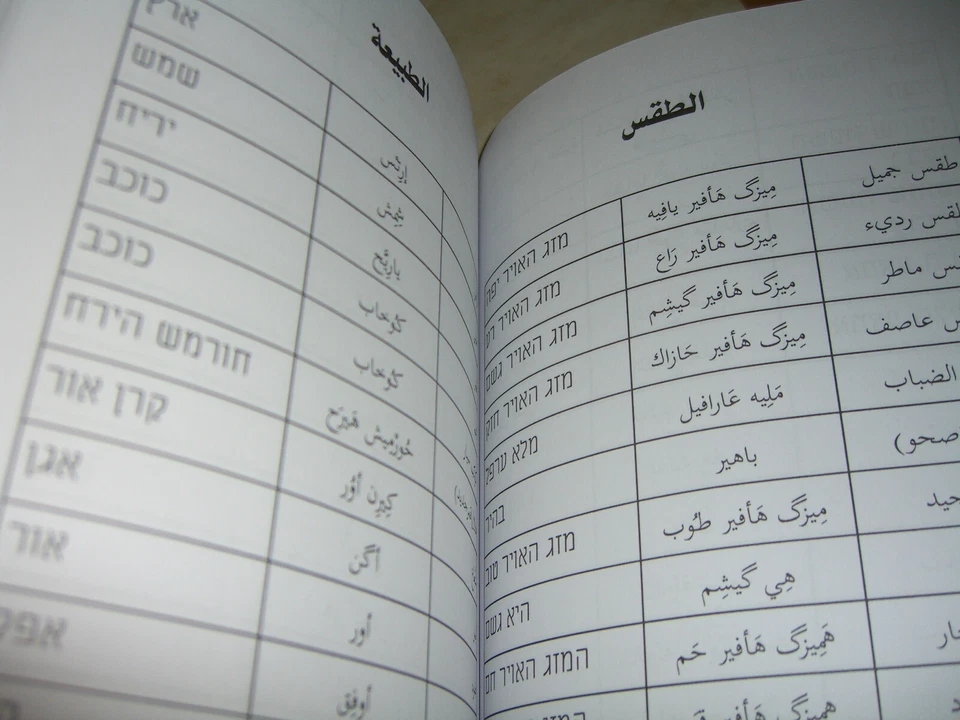 Arabic Hebrew Learn Hebrew in 5 Days by Waled Muhamed 2012 - Image 3 of 4