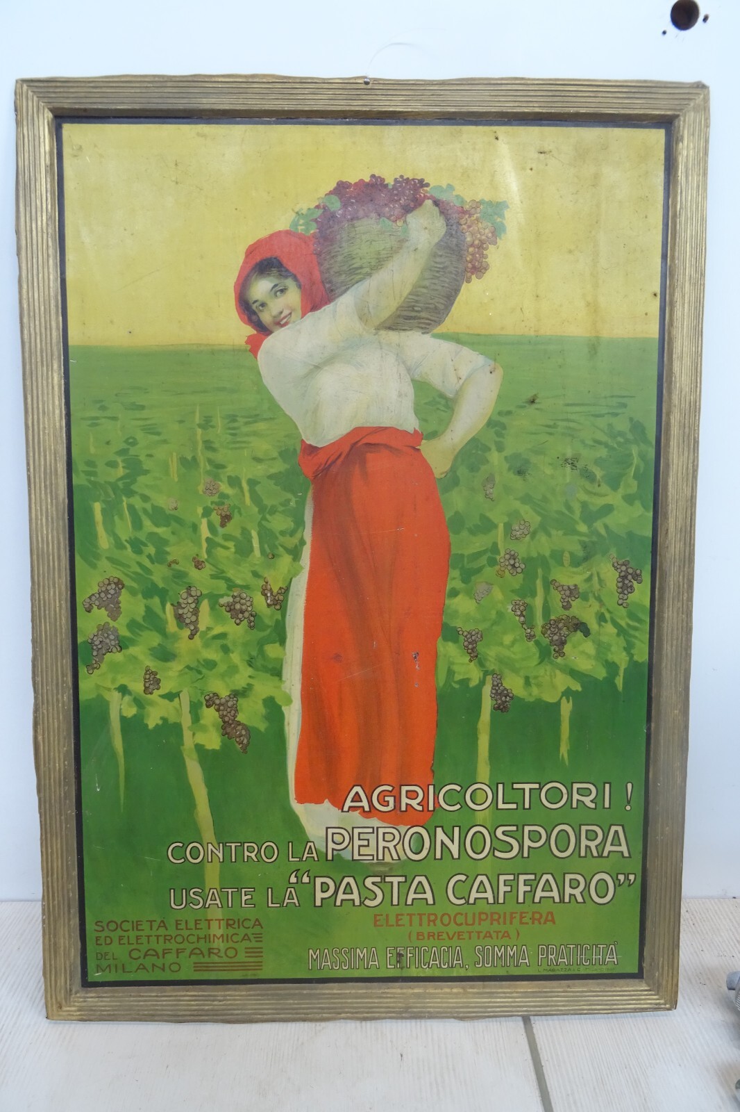 Foto 14 di 14