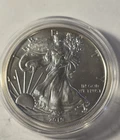 2019 Silver Eagle $1 Dollar 1oz Uncirculated .999 -In Capsule