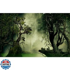 Forest Aquarium Background Jungle Plants Old Trees Reptile Habitat Background
