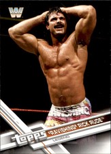 2017 Topps WWE Then Now Forever #193 