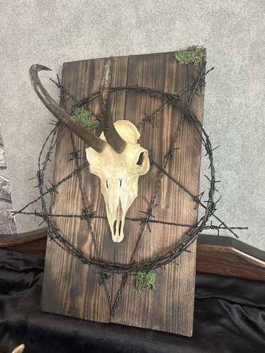 Gams Schädel Gothic Wanddeko Pentagramm Schwarz Stacheldraht Kuriosität Unikat - Bild 2 von 6