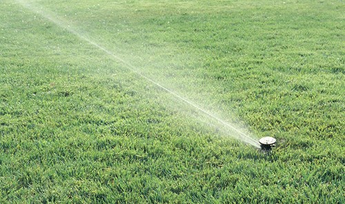 2 Rainbird 2045 Maxi-Paw Impact Rotors, kostenloser Versand - Bild 3 von 3