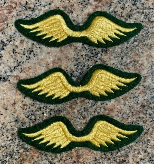 Girl Scout Brownie Wings for sale online eBay