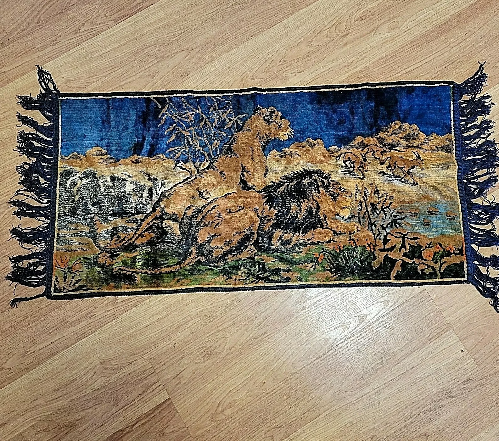 Picture 6 of 12