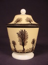 VERY RARE c1810 SUGAR with LID MOCHA WARE MOCHAWARE PEARLWARE STAFFORDSHIRE MINT