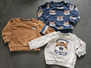 C&a Baby Jungen Sweatshirts Pullover Baby Jungen Outfit Gr. 80 Tiger