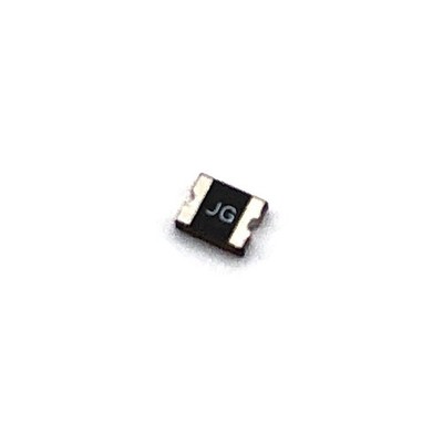 F1 Fuse for Epson L1800 1390 R1390 DTG DTF Printer