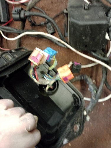 AUDI TT 1.8T BAM Engine Management Wiring Loom +LAMBDA APX? GOLF CONVERSION - Picture 19 of 24
