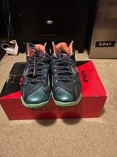 Lebron James 11 XI Men US Size 10.5 Los Angel...