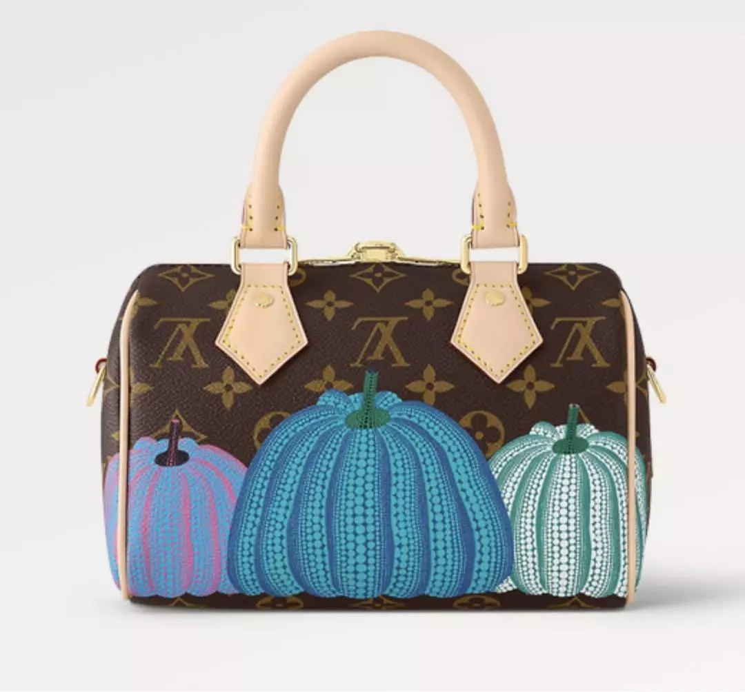 Louis Vuitton Speedy 20 in 2023  Lv speedy outfit, Casual bags