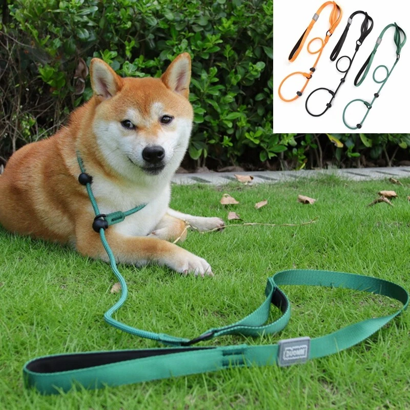 66in Slip Lead Dog Leashs Nylon Rolled Rope Pet Collar Obedience Recall Training