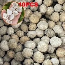 10pcs Unopened Natural Geodes Raw Crystal Stones Decor Natural Crystals