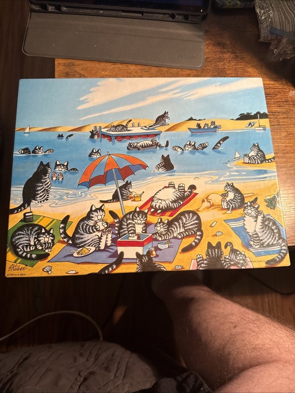VINTAGE 1984 SPRINGBOK Cat Days of Summer B KLIBAN  Jigsaw Puzzle 500 Pc