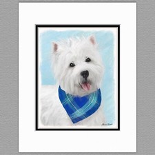 West Highland White Terrier Westie Print 8x10 Matted to 11x14