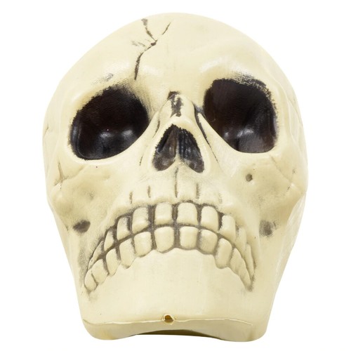 Halloween Set of Plastic Scull 6” and Skeleton Arm 8.5” - Picture 6 of 10