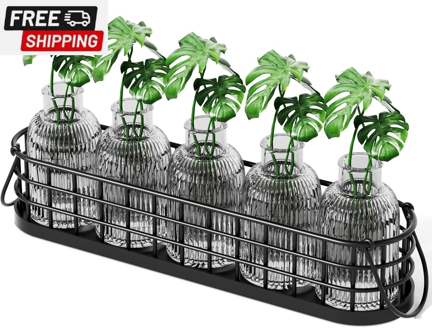 Plant Propagation Stations,Plant Terrarium for Propagating Hydroponic,Glass Plan