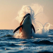 Digital Image Picture Photo Wallpaper Background Desktop AI Art Sample Product