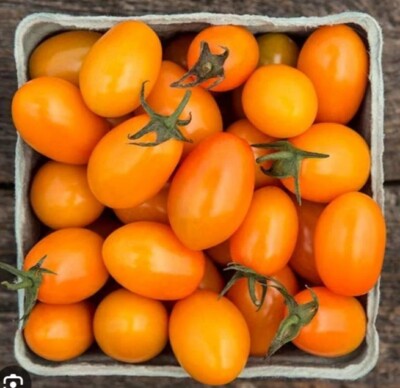 tomato ☆ Mutant tomato grown near Fukushima : r/pics