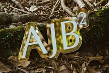 Acrylic/ Wooden 3D Double Layered Business Logo Sign -1 Row