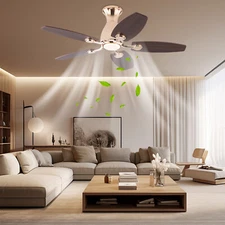 Ceiling Fan Chandelier, Ceiling Fan with Remote, Ceiling Fans with Lights