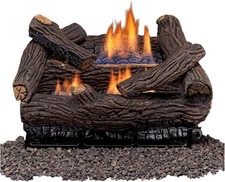 Duluth Forge DLS-18R-2 Dual Fuel Ventless Fireplace Logs Set with Remote
