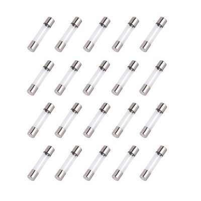 EC Buying 20 Pcs F12AL 250V 12A Fast-Blow Glass Fuses, Silver 