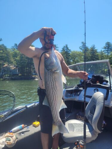 12" Striper Bass Lure Tube, with Rudder and Leader. Tube Color: Cobalt Blue - Picture 2 of 10