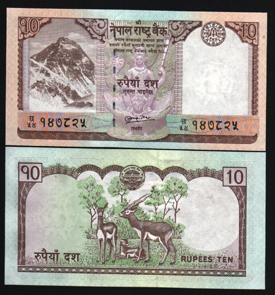 NEPAL 10 RUPEES P-61 2008 x 100 Pcs DEER COW BIRD UNC Lot FULL BUNDLE BANK NOTE - Image 3 of 3