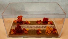 Z SCALE -SINGLE TRACK 8"-DISPLAY CASE-"FALL FOLIAGE SCENE" -FOR ANY Z TRAIN